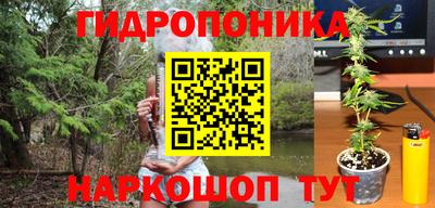 дживик Кинель