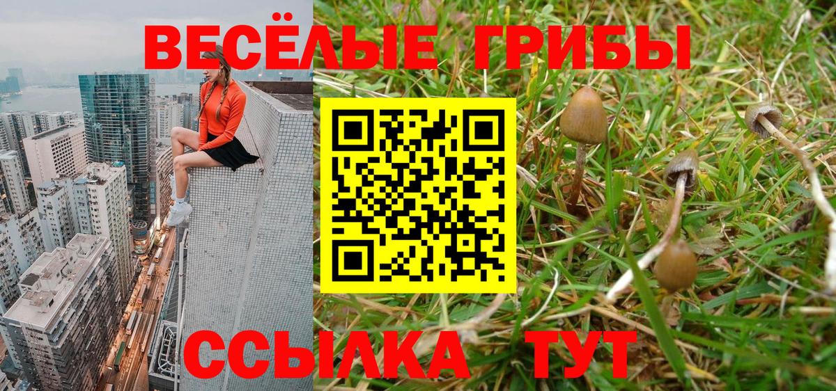 Шатура  Псилоцибиновые грибы Cubensis  где купить   Вход с VPN  Галлюциногенные грибы прущие грибы 